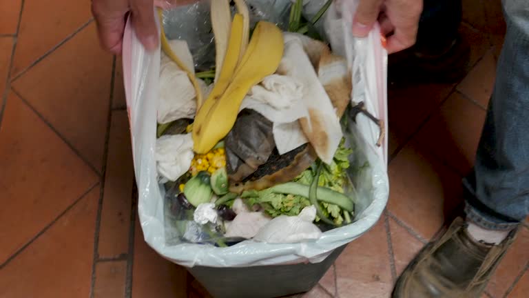 Best Retail Junk Removal  in Hackleburg, AL