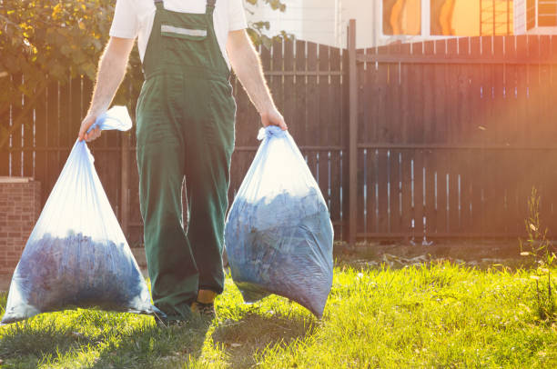 Best Office Cleanout  in Hackleburg, AL